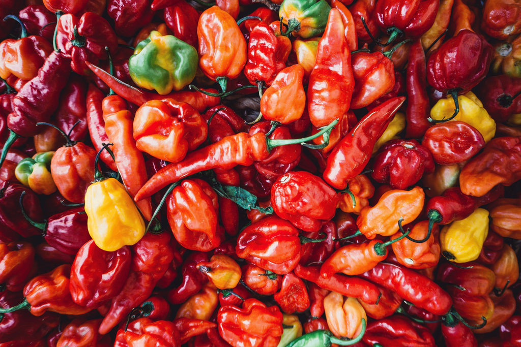 Grow Your Own Hot Sauce