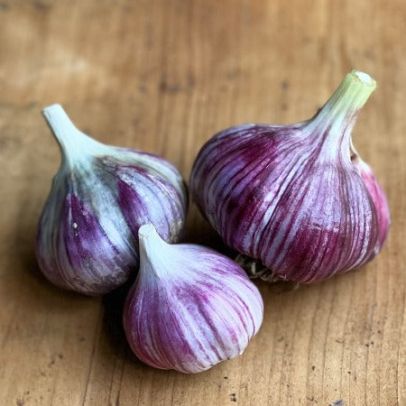 Garlic, Zemo Mtsara