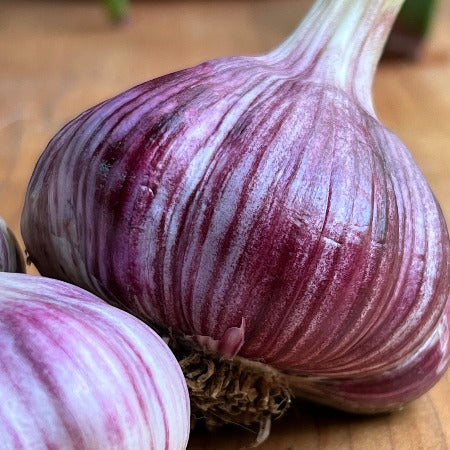 Garlic, Zemo Mtsara