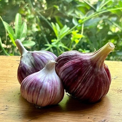 Garlic, Zemo Mtsara