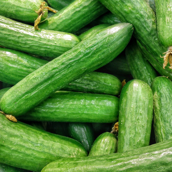 Cucumber, Muncher