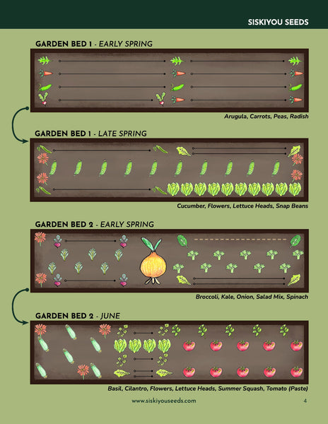 Small Garden Plan Seed Collection