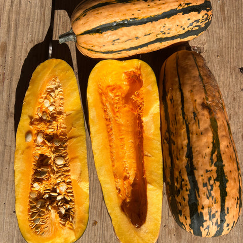 Winter Squash, Delicata, Honeyboat