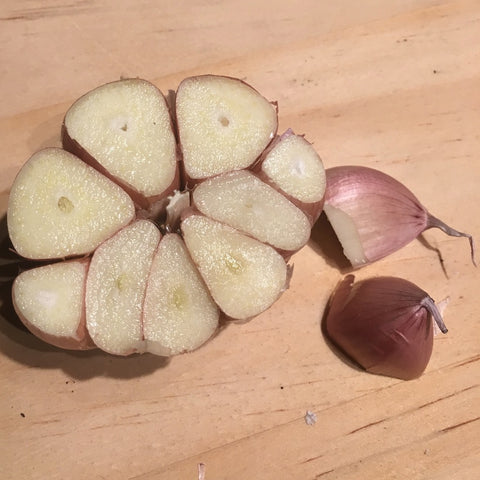 Garlic, Chinese Pink