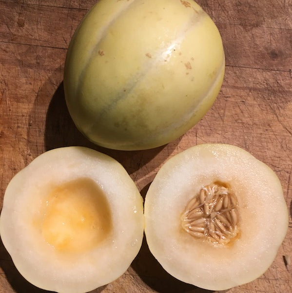 Honeydew Melon Garden Seeds - Orange Flesh - 1 Oz - Non-GMO, Heirloom  Vegetable Gardening Seed - Honey Dew Fruit