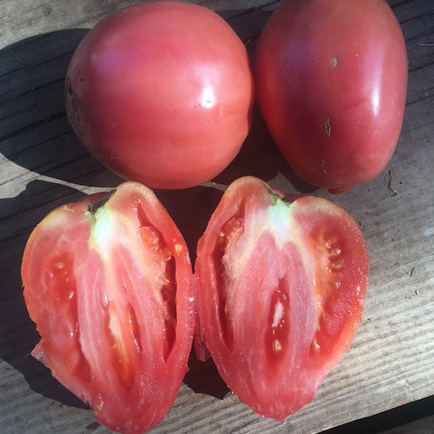 Bush Beefsteak Hamburger Slicer Tomato 25+ Seeds Heirloom Organic Non-GMO  Garden
